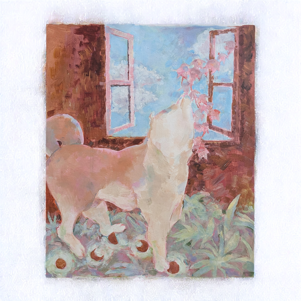 窗邊的柴犬:圖片 2